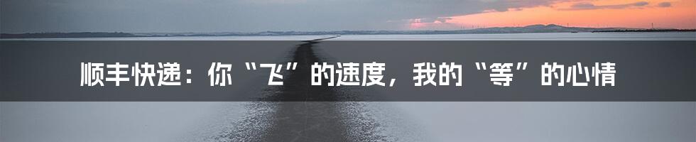 顺丰快递:你“飞”的速度,我的“等”的心情