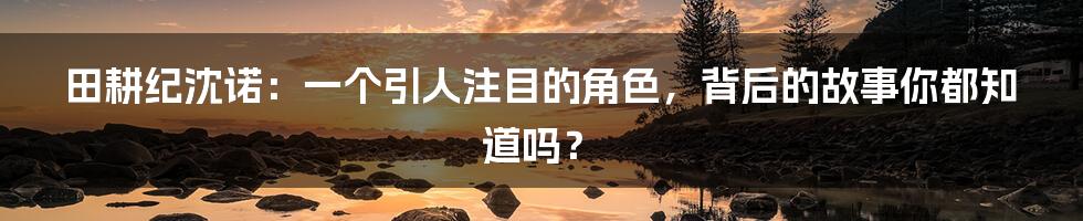 田耕纪沈诺:一个引人注目的角色,背后的故事你都知道吗?