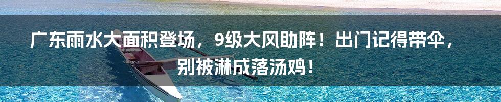 广东雨水大面积登场,9级大风助阵!出门记得带伞,别被淋成落汤鸡!