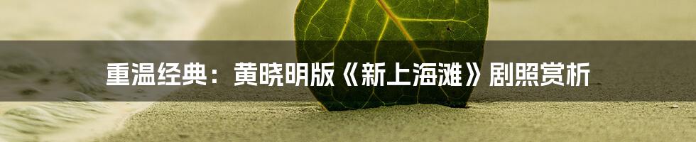 重温经典:黄晓明版《新上海滩》剧照赏析