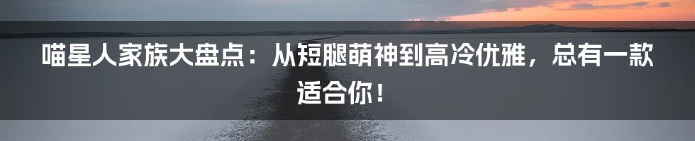 喵星人家族大盘点：从短腿萌神到高冷优雅，总有一款适合你！