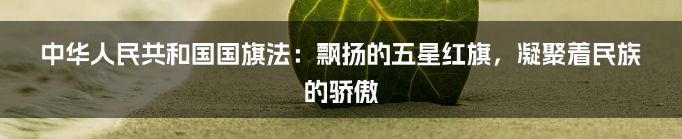 中华人民共和国国旗法:飘扬的五星红旗,凝聚着民族的骄傲