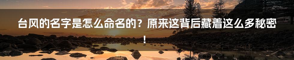 台风的名字是怎么命名的？原来这背后藏着这么多秘密！
