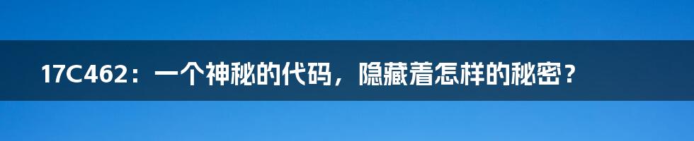 17C462:一个神秘的代码,隐藏着怎样的秘密?