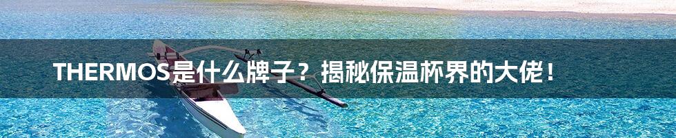 THERMOS是什么牌子?揭秘保温杯界的大佬!