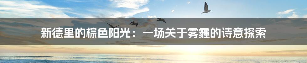 新德里的棕色阳光:一场关于雾霾的诗意探索
