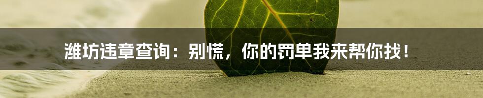 潍坊违章查询:别慌,你的罚单我来帮你找!