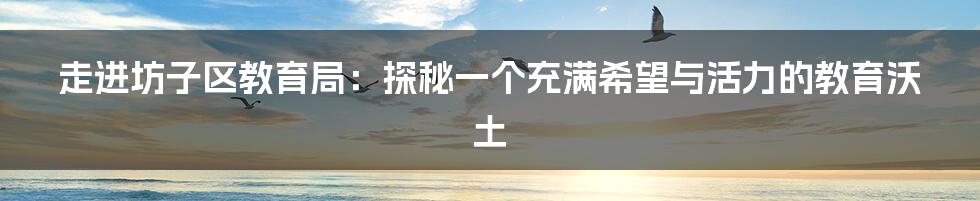 走进坊子区教育局:探秘一个充满希望与活力的教育沃土