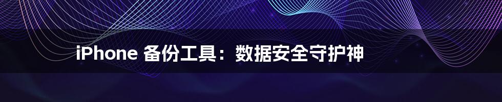 iPhone 备份工具:数据安全守护神