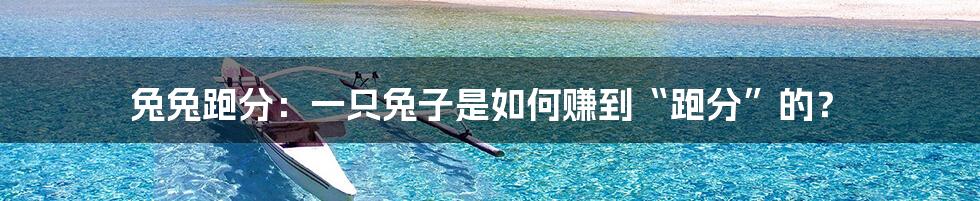 兔兔跑分：一只兔子是如何赚到“跑分”的？