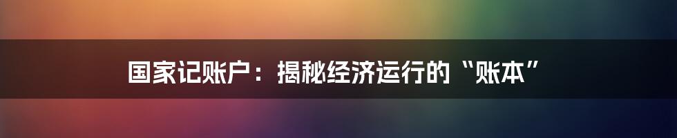 国家记账户:揭秘经济运行的“账本”