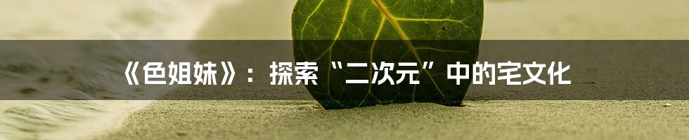 《色姐妹》:探索“二次元”中的宅文化