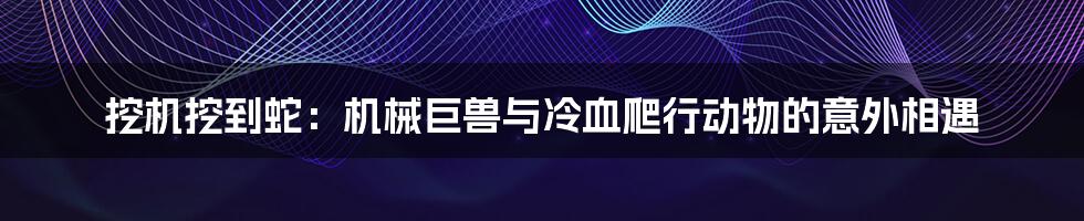挖机挖到蛇:机械巨兽与冷血爬行动物的意外相遇