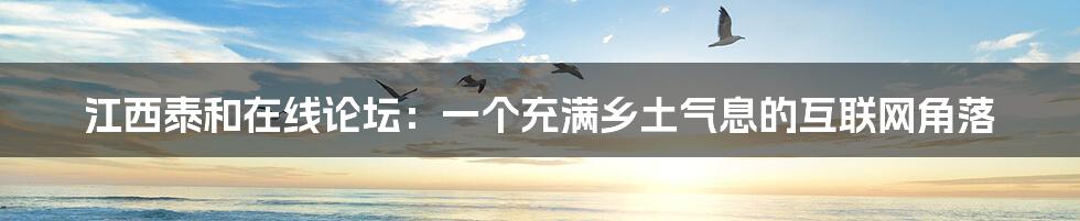 江西泰和在线论坛：一个充满乡土气息的互联网角落