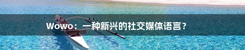 Wowo：一种新兴的社交媒体语言？