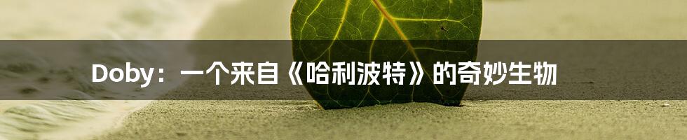 Doby:一个来自《哈利波特》的奇妙生物