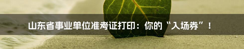 山东省事业单位准考证打印：你的“入场券”！