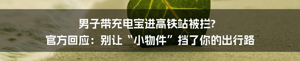 男子带充电宝进高铁站被拦? 官方回应:别让“小物件”挡了你的出行路