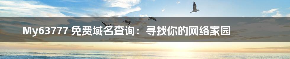 My63777 免费域名查询:寻找你的网络家园