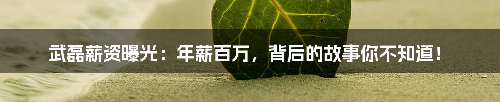 武磊薪资曝光:年薪百万,背后的故事你不知道!