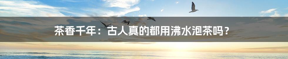 茶香千年:古人真的都用沸水泡茶吗?
