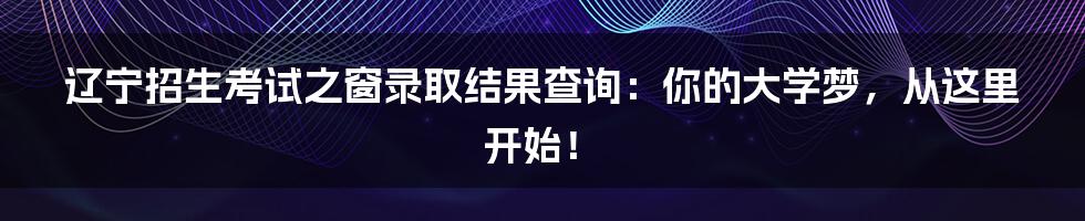 辽宁招生考试之窗录取结果查询:你的大学梦,从这里开始!