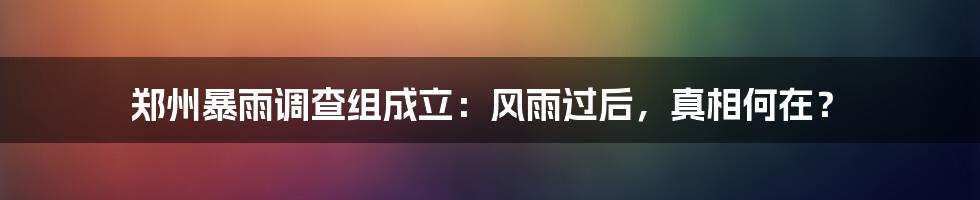郑州暴雨调查组成立:风雨过后,真相何在?