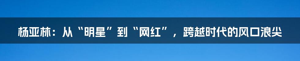 杨亚林:从“明星”到“网红”,跨越时代的风口浪尖