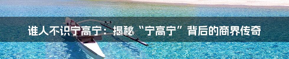 谁人不识宁高宁:揭秘“宁高宁”背后的商界传奇