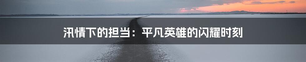 汛情下的担当:平凡英雄的闪耀时刻