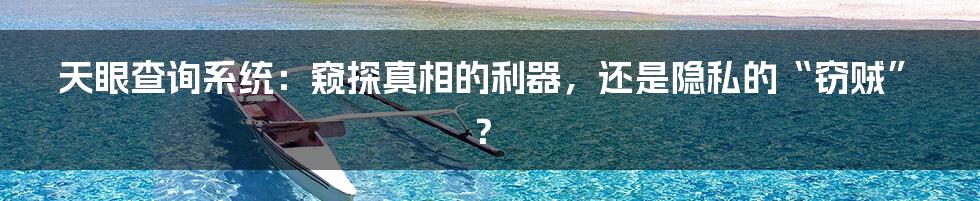 天眼查询系统:窥探真相的利器,还是隐私的“窃贼”?