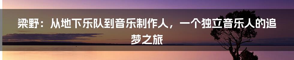 梁野：从地下乐队到音乐制作人，一个独立音乐人的追梦之旅