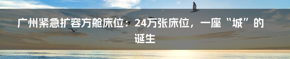 广州紧急扩容方舱床位:24万张床位,一座“城”的诞生