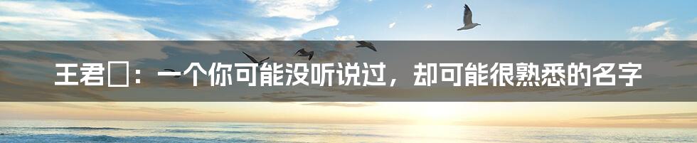王君韾：一个你可能没听说过，却可能很熟悉的名字