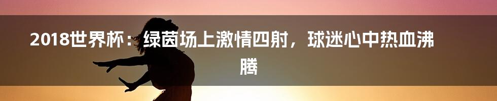 2018世界杯:绿茵场上激情四射,球迷心中热血沸腾