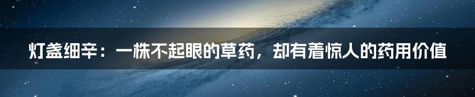 灯盏细辛:一株不起眼的草药,却有着惊人的药用价值