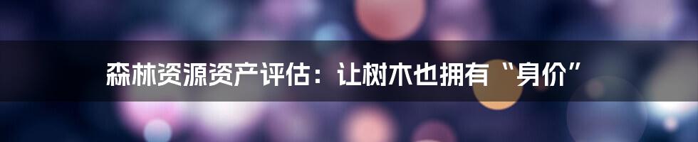 森林资源资产评估:让树木也拥有“身价”