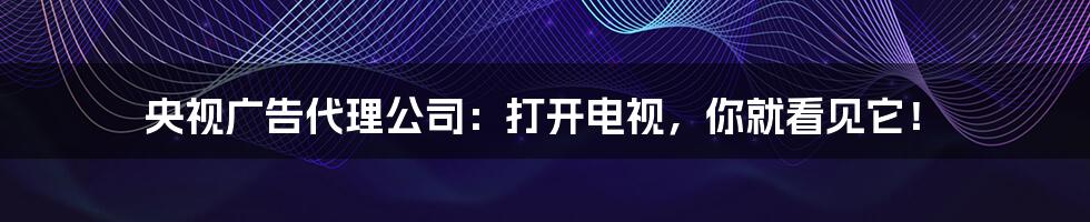 央视广告代理公司:打开电视,你就看见它!