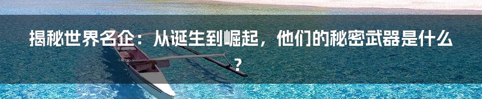 揭秘世界名企:从诞生到崛起,他们的秘密武器是什么?