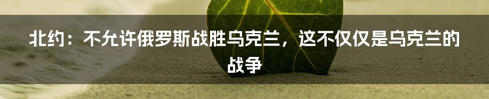 北约:不允许俄罗斯战胜乌克兰,这不仅仅是乌克兰的战争