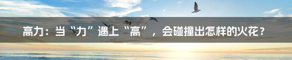 高力:当“力”遇上“高”,会碰撞出怎样的火花?