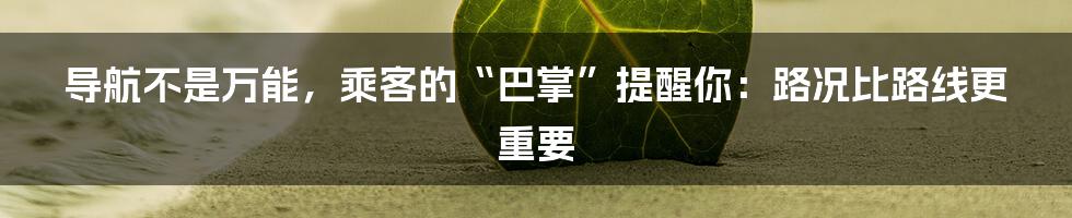 导航不是万能,乘客的“巴掌”提醒你:路况比路线更重要