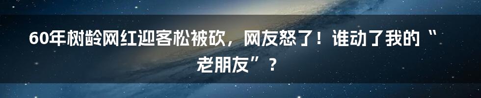 60年树龄网红迎客松被砍,网友怒了!谁动了我的“老朋友”?
