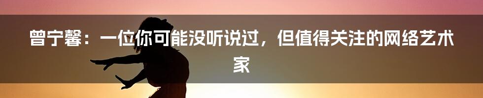 曾宁馨:一位你可能没听说过,但值得关注的网络艺术家
