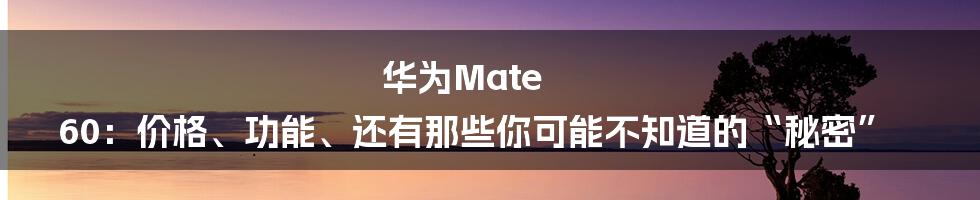华为Mate 60：价格、功能、还有那些你可能不知道的“秘密”