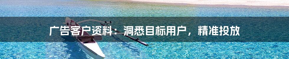 广告客户资料:洞悉目标用户,精准投放