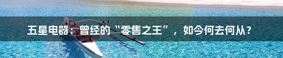 五星电器:曾经的“零售之王”,如今何去何从?