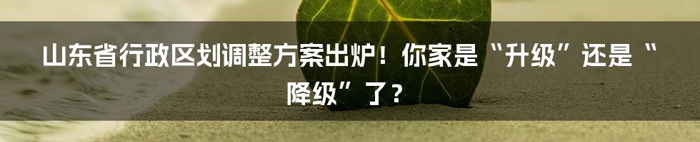 山东省行政区划调整方案出炉!你家是“升级”还是“降级”了?