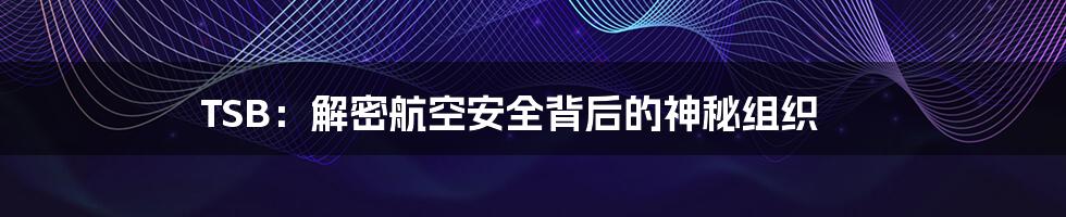 TSB：解密航空安全背后的神秘组织