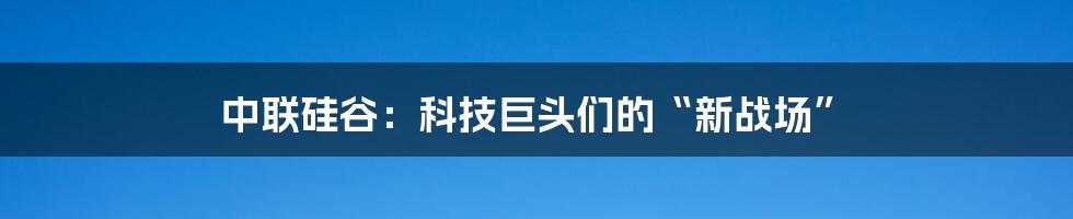 中联硅谷:科技巨头们的“新战场”